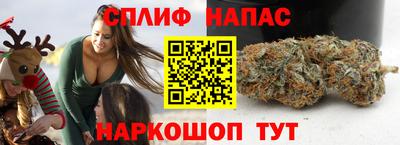 индика Железногорск