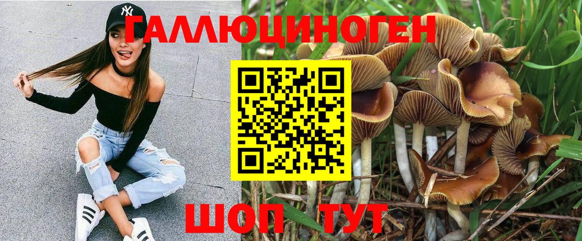 Галлюциногенные грибы прущие грибы Родники