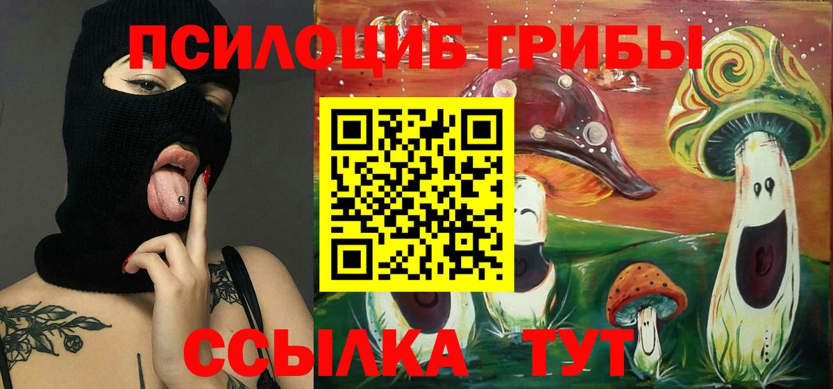 Галлюциногенные грибы мицелий  Вход с VPN  Родники 