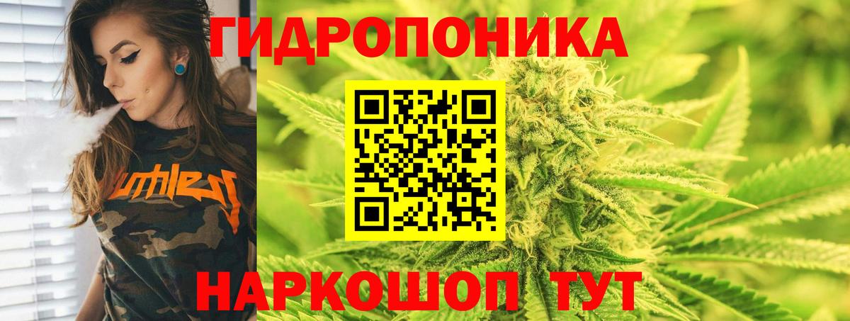 МАРИХУАНА сатива Родники